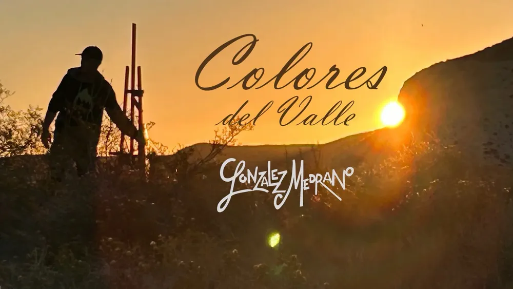 portada colors